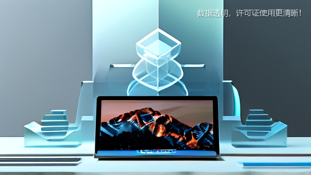 数据透明，许可证使用更清晰！